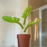 Monstera Banyo Organizeri