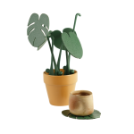Monstera Bardak Altlığı