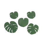 Monstera Bardak Altlığı