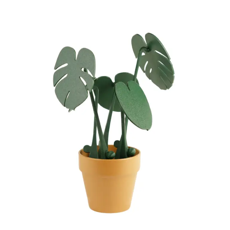 Monstera Bardak Altlığı