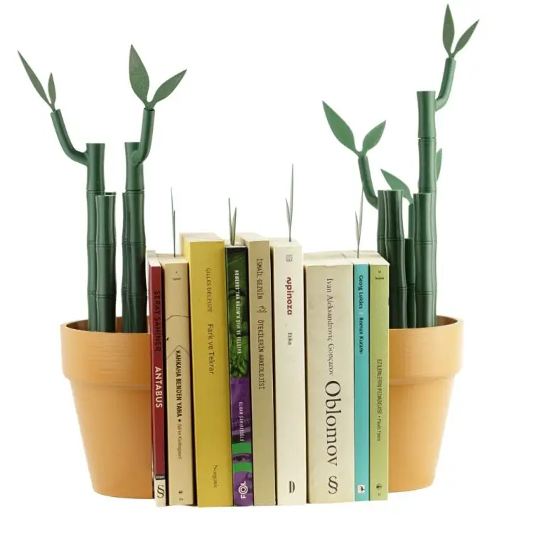 Bambu Kitap Tutucu