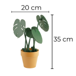 Monstera Bardak Altlığı