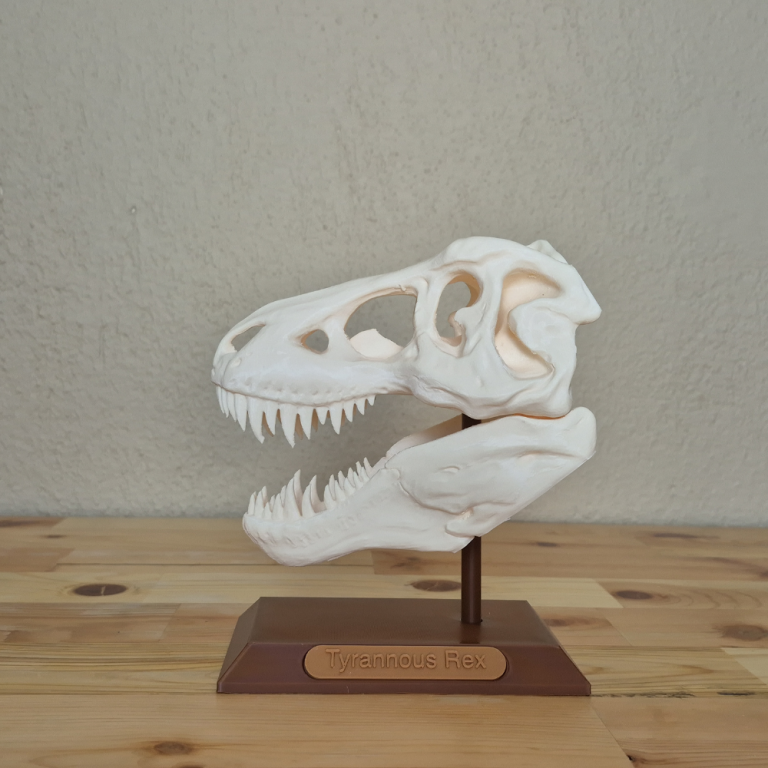 T-Rex Kafatası Biblosu