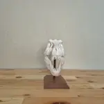 T-Rex Kafatası Biblosu