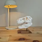 T-Rex Kafatası Biblosu